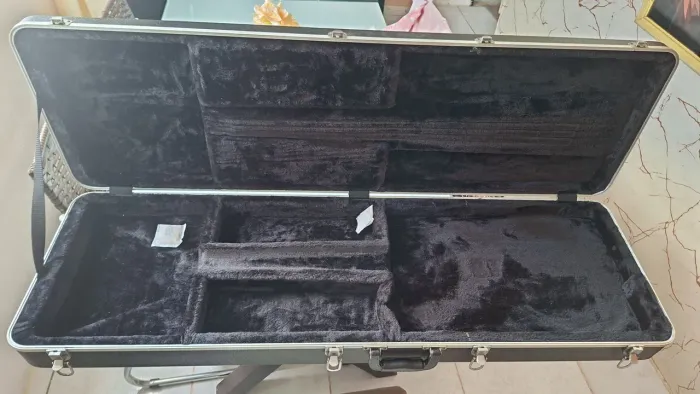 Case de baixo gator
