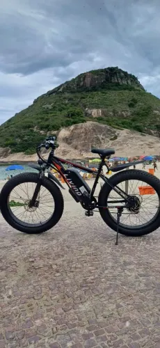 bicicleta elétrica Fat bike*