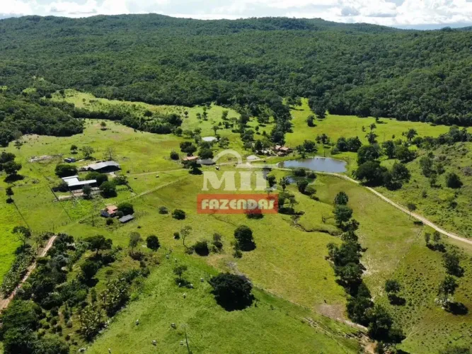 Fazenda 497 Alqueires (2.405 hectares) Colinas do Sul - GO