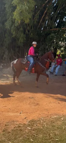 Vendo égua 