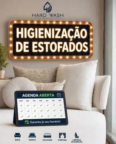 Lavagem a seco.; todo dia