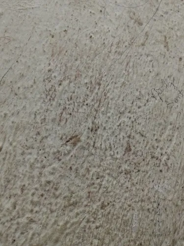 Descarte para  materiais reciclável 