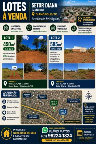LOTE GRANDE E TOP