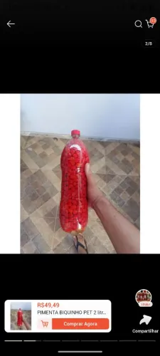 Pimenta biquinho pet