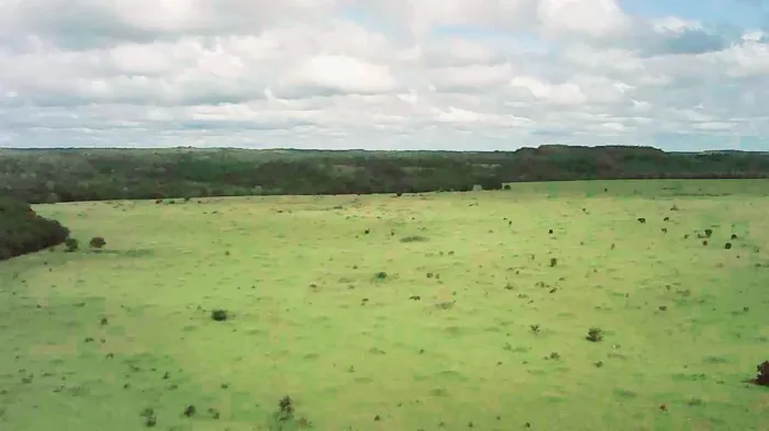 Fazenda no Tocantins