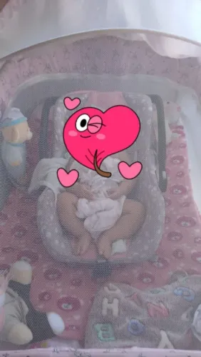 Bebê conforto + Cadeira de Alimentação + Ninho