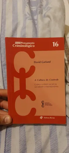 A cultura do controle 