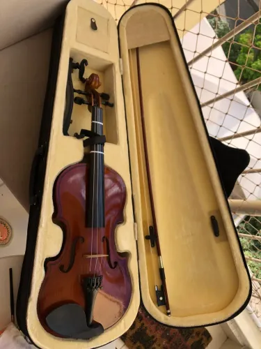 Violino