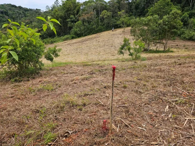 Chácara com escritura em Vila Moraes Mogi das Cruzes
