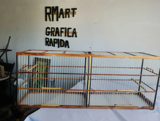 Voador trinca ferro