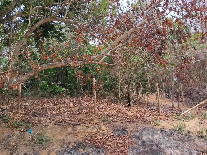 Lote/Terreno para venda possui 360 metros quadrados