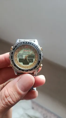 Citizen promaster