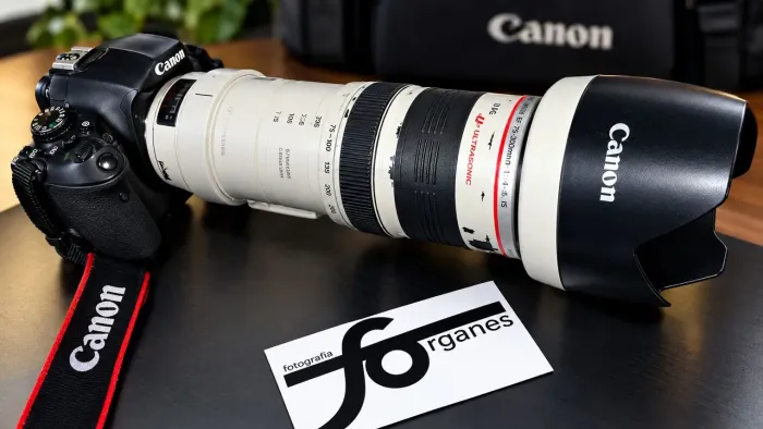 Lente Canon 35-350 mm L