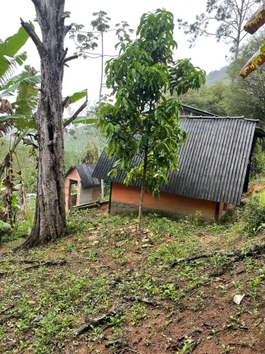 Venda de área rural Matilde Alfredo Chaves