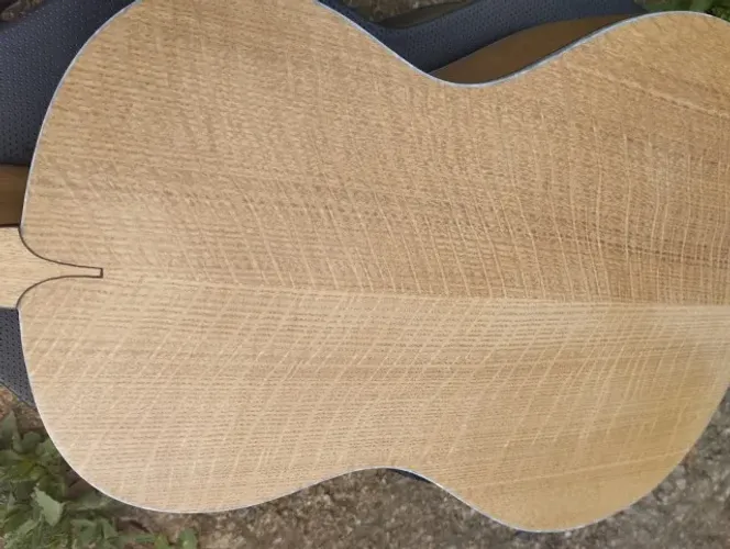 Viola caipira luthier Pavesi nova sem uso