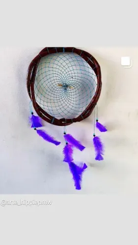 Filtro dos sonhos Cipó Roxo 