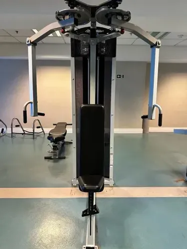 Voador dorsal Life Fitness