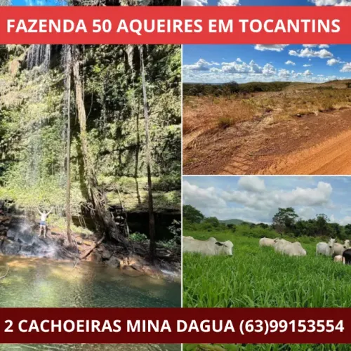 Fazenda preparada para criação de Gado ou para Plantação em Tocantins 