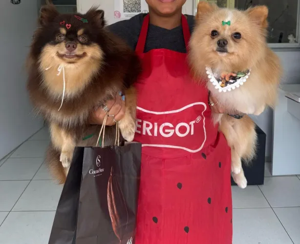 Lindos filhotes de spitz alemão p dezembro