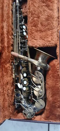 Sax alto Michael WASM46