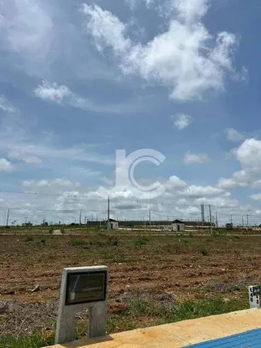 Casa de condomínio para venda possui 250 metros quadrados em Primavera - Vitória da Conqui
