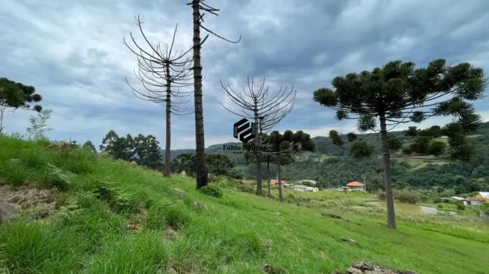 Área de Terras à venda no Bairro Vila Ferraria em Santa Maria do Herval RS REF: 1411