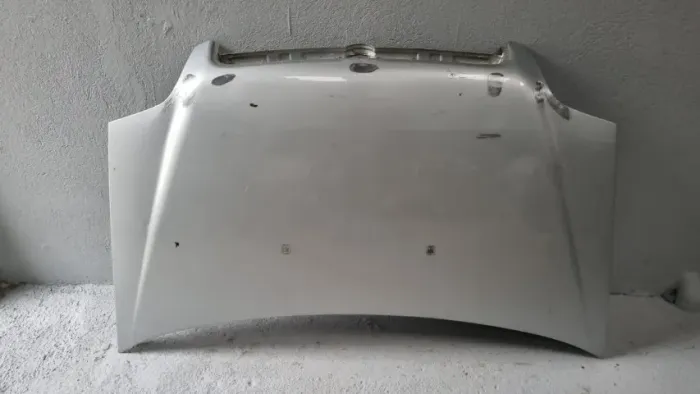 Capô Fiat Doblo 2005/2012 Original
