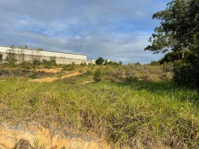ÁREA EM TERRA VERMELHA