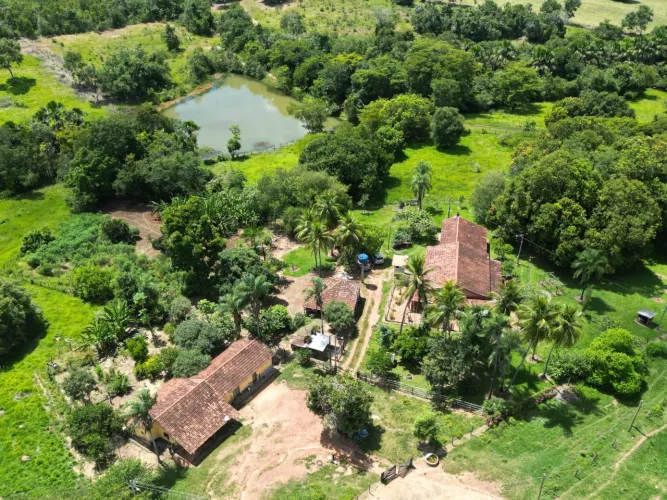 Fazenda para pecuária