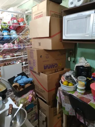 Lote Caixas de Papelão (USADAS)