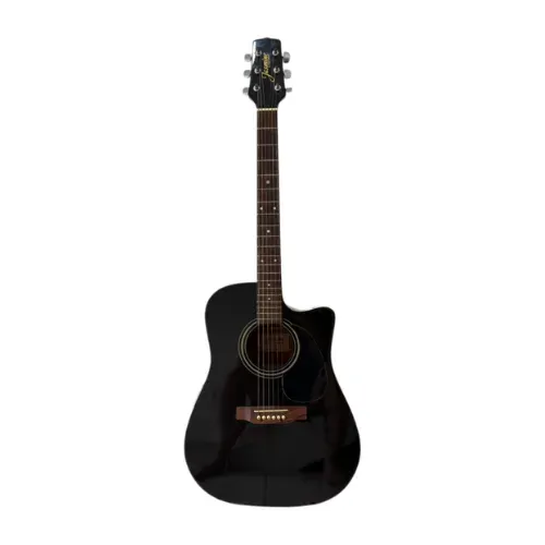 Jasmine by Takamine ES31C