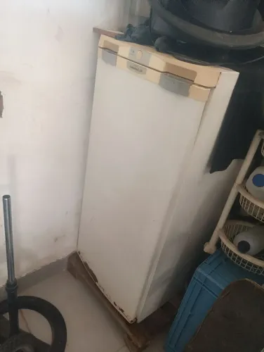 Freezer vertical