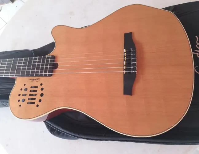 Violão Godin