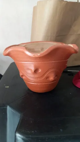 Vaso de Barro - Plantas