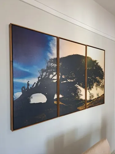 Quadro Decorativo 3 Telas