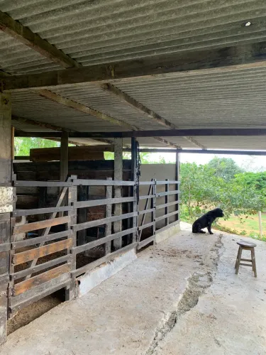 Baia pra cavalos 