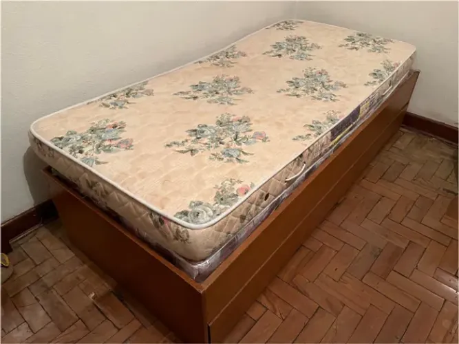 Bicama de Madeira com 2 Colchões