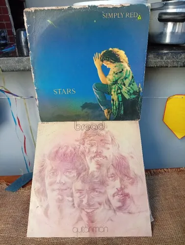 Disco de vinil