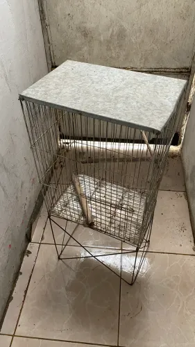Gaiola