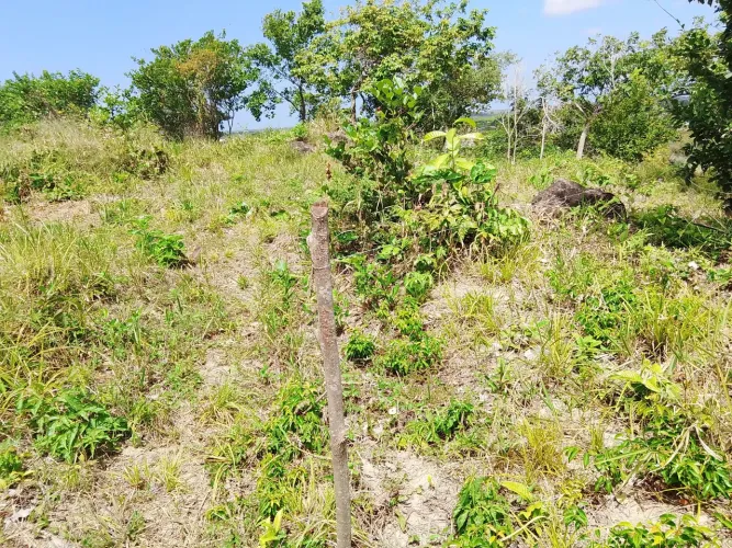 Terreno 8x20 com visão panorâmica privilegiada