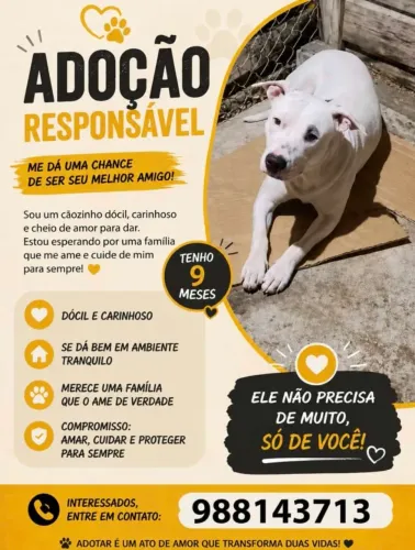 ADOÇÃO RESPONSÁVEL