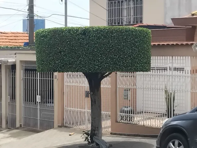 Fazemos serviços de jardinagem em geral 