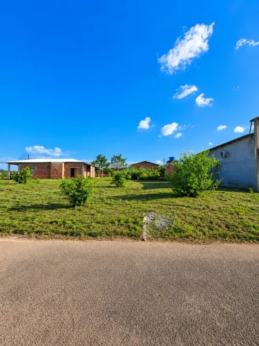 LOTE NO FLORESTA TROPICAL