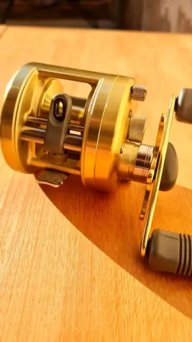 Carretilha Shimano Calcutta 251 - Usada, Excelente Estado