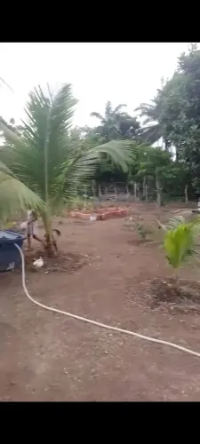 Terreno
