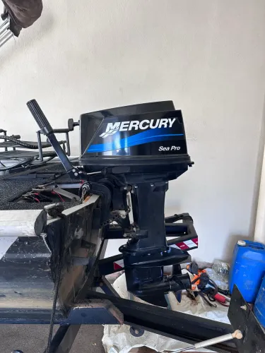 Motor 25 sea pro mercury 