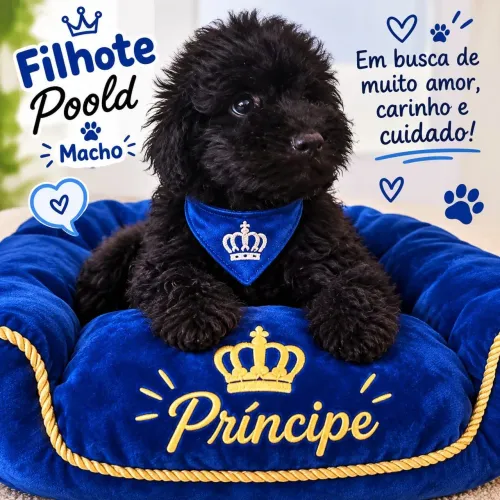 Vende se