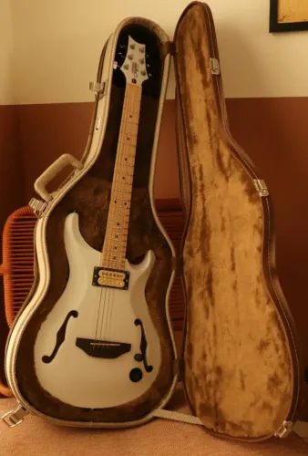Guitarra semi-acústica Steffen Luthier com case