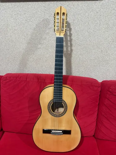 Viola Dida 2020 em Maple 