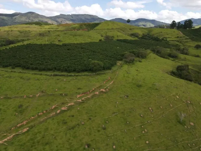 Fazenda de café com 430 hectares em Poços de Caldas, sul de Minas Gerais